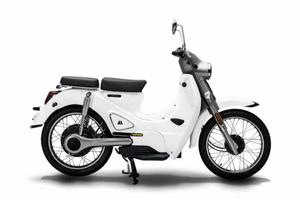 Motron Cubertino - 2022