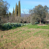 Oricoltore-allevatore