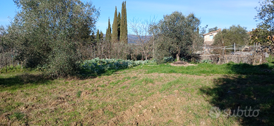 Oricoltore-allevatore