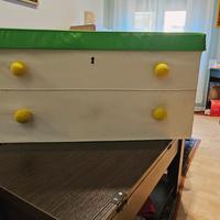 Scatola porta oggetti