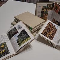 Enciclopedia pratica del giardinaggio - 8 volumi