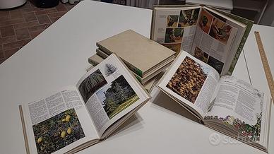 Enciclopedia pratica del giardinaggio - 8 volumi