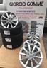 cerchi-e-gomme-wv-audi-skoda-seat-pollo
