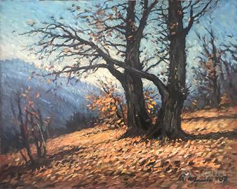 quadro olio su tela f.to 50X60
