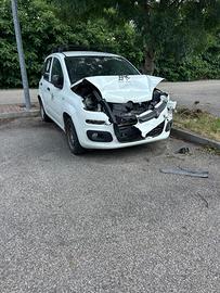 Panda Ducato