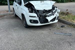 Panda Ducato
