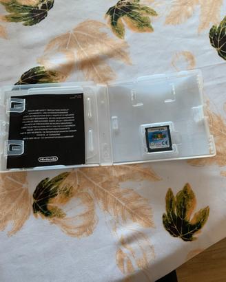 Nintendo DS