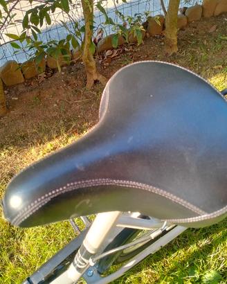 Bicicletta da donna Gloria 24"