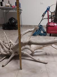 tronco terrario 