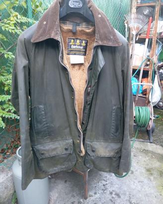 Barbour Beaufort cerato