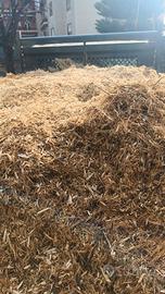 Cippato per biomassa