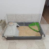 Gabbia conigli gratis
