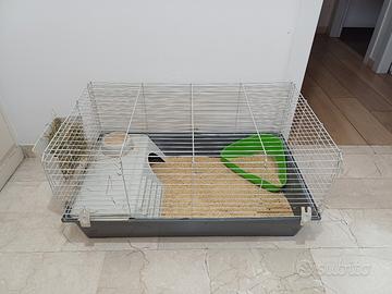 Gabbia conigli gratis