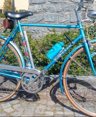 Bicicletta Vintage Capello