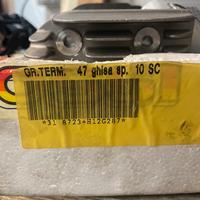 Gruppo termico malossi