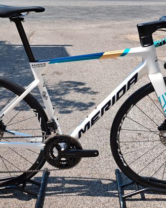 MERIDA SCULTURA TEAM