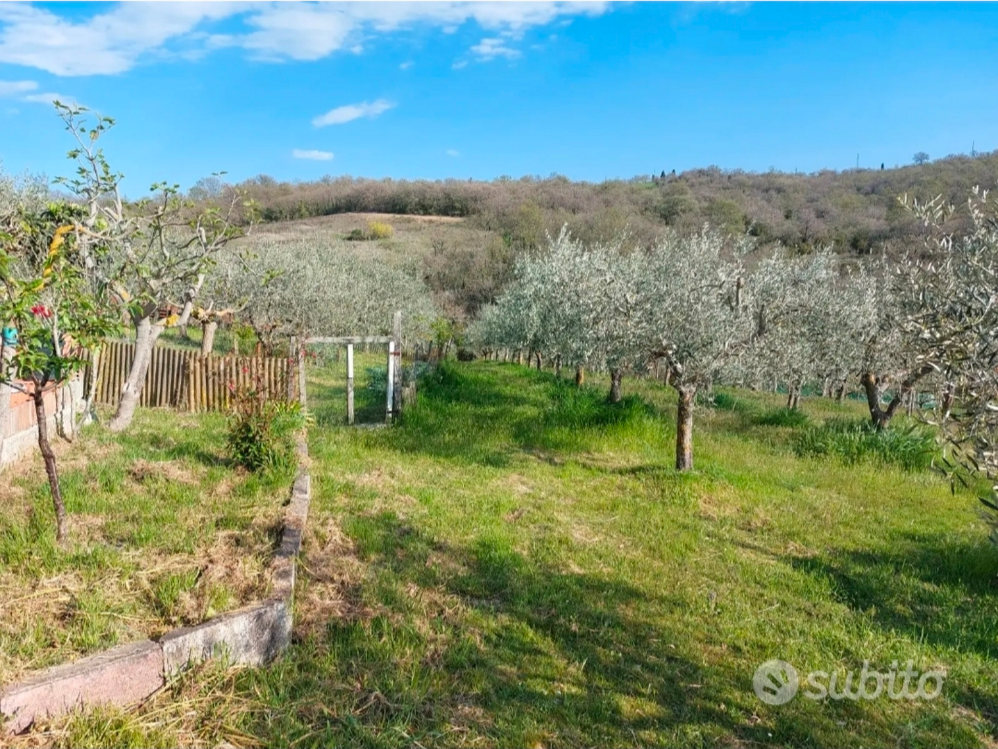 Terreno agricolo a San Quirico d'Orcia in Località - Vista 3