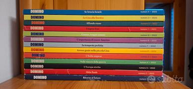 Collezione rivista Domino