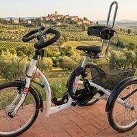 Bicicletta triciclo