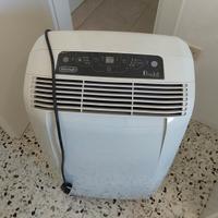 pinguino condizionatore