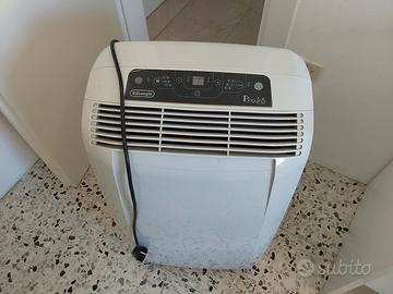 pinguino condizionatore