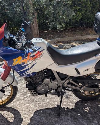 Honda Dominator NX650 - Leggere descrizione