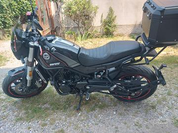 Benelli Leoncino 500 - 2023