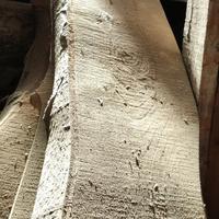 Tavole legno NOCE 