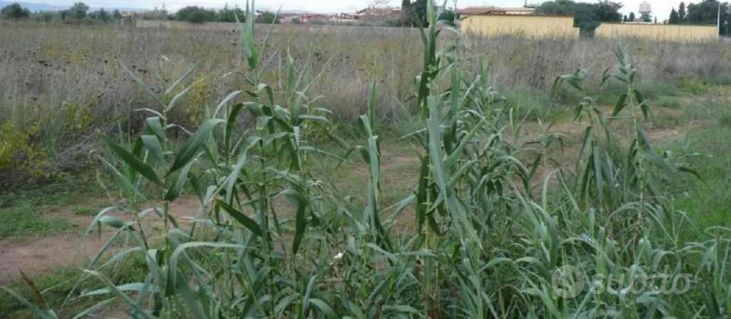 Immobile in asta di 7955 m² a Capoterra - Vista 3