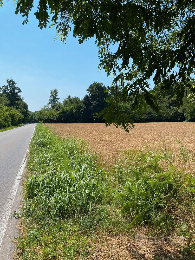Terreno agricolo 9.000 mq - Vista 6