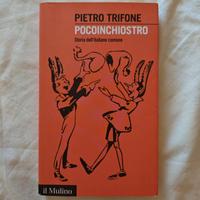 Pocoinchiostro-Storia dell'italiano comune