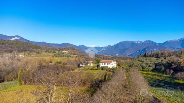 ATTIVITÀ A PUEGNAGO SUL GARDA