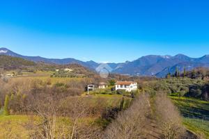 ATTIVITÀ A PUEGNAGO SUL GARDA