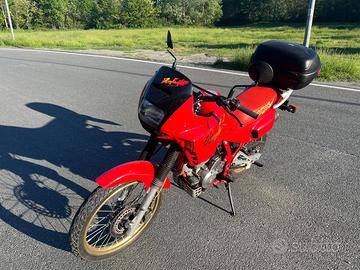 HONDA DOMINATOR 650