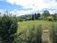 Immagine 17