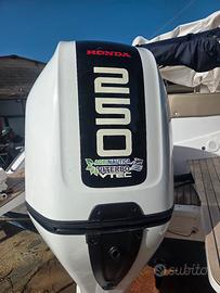 motore fuoribordo 250 cavalli