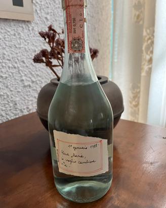 Grappa Levi “Cara Maria”