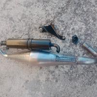 Stage 6 sport pro replica 