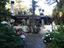 Immagine 12