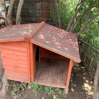 Cuccia per cani da esterno in legno con veranda