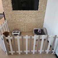 RECINTO KENNEL