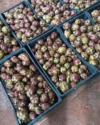 Carciofini piccoli Villasor 10