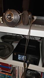 Cuffia focal clear MG + ampli Gold Note HP10