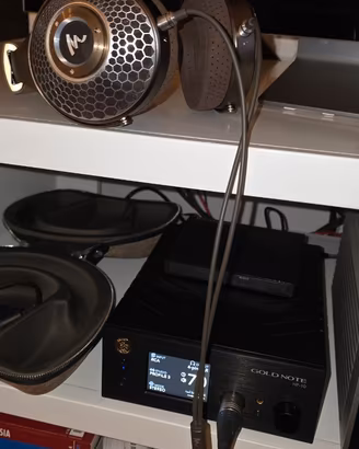 Cuffia focal clear MG + ampli Gold Note HP10