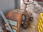 Immagine 2