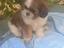 Immagine 3