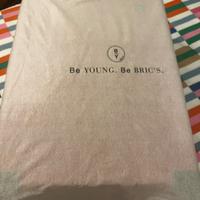 Trolley Bric’s rigido