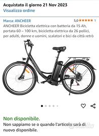 bici elettrica seminuova