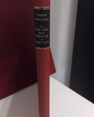 IL PALAZZO DEL PODESTA' a MANTOVA