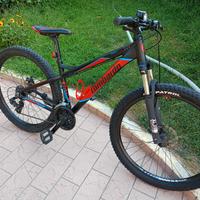 Lombardo. misura 27.5